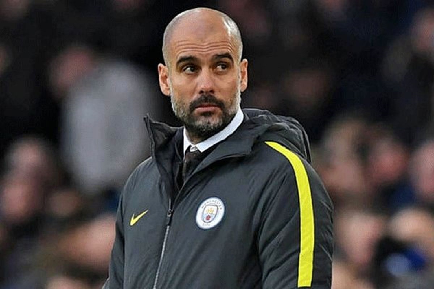 انتشار آماری جالب؛ تفاوت دستمزد گواردیولا برای هر پیروزی نسبت به کلوپ - اخبار لیگ جزیره انتشار آماری جالب؛ تفاوت دستمزد گواردیولا برای هر پیروزی نسبت به کلوپ