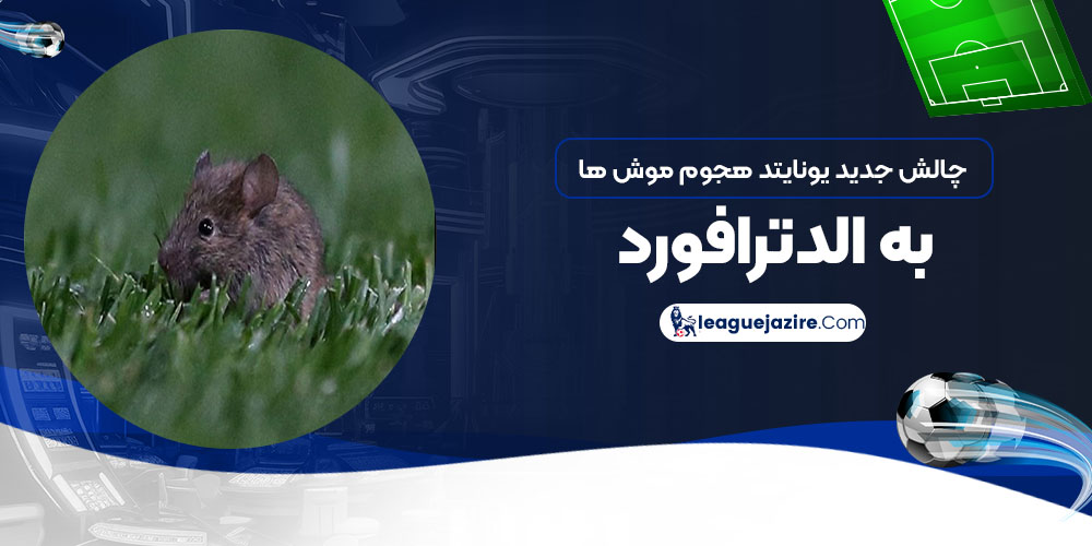 چالش جدید یونایتد: هجوم موش‌ها به الدترافورد!
