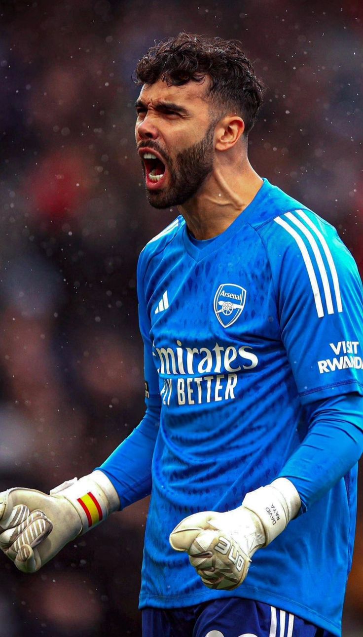 David Raya wallpaper for phone