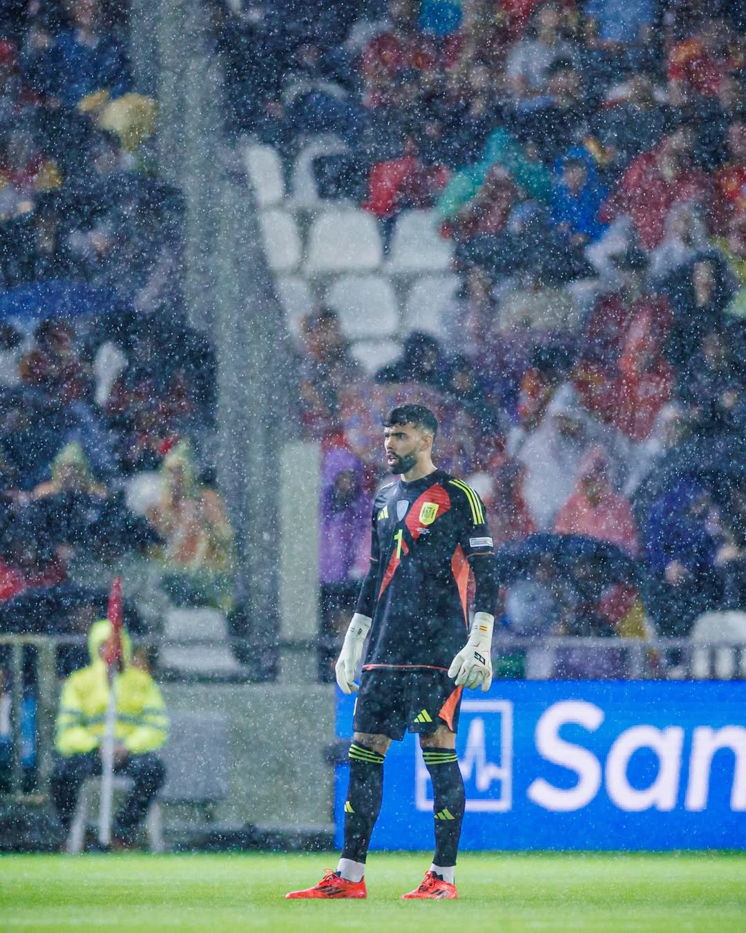 wallpaper David Raya