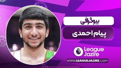 بیوگرافی پیام احمدی