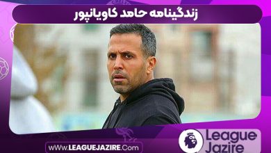 زندگینامه حامد کاویانپور
