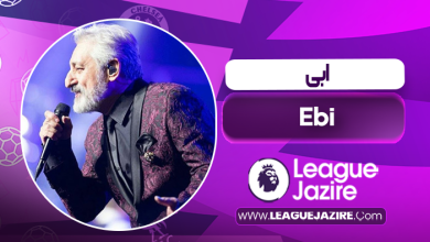 بیوگرافی ابی – Ebi