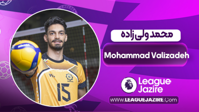 بیوگرافی محمد ولی زاده – Mohammad Valizadeh