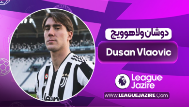 بیوگرافی دوشان ولاهوویچ – Dusan Vlaovic