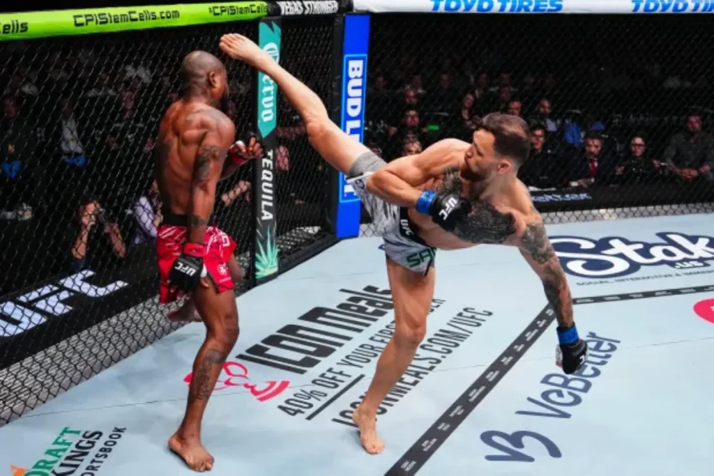 بهترین ناکاوتهای تاریخ UFC بهترین ناکاوتهای تاریخ UFC