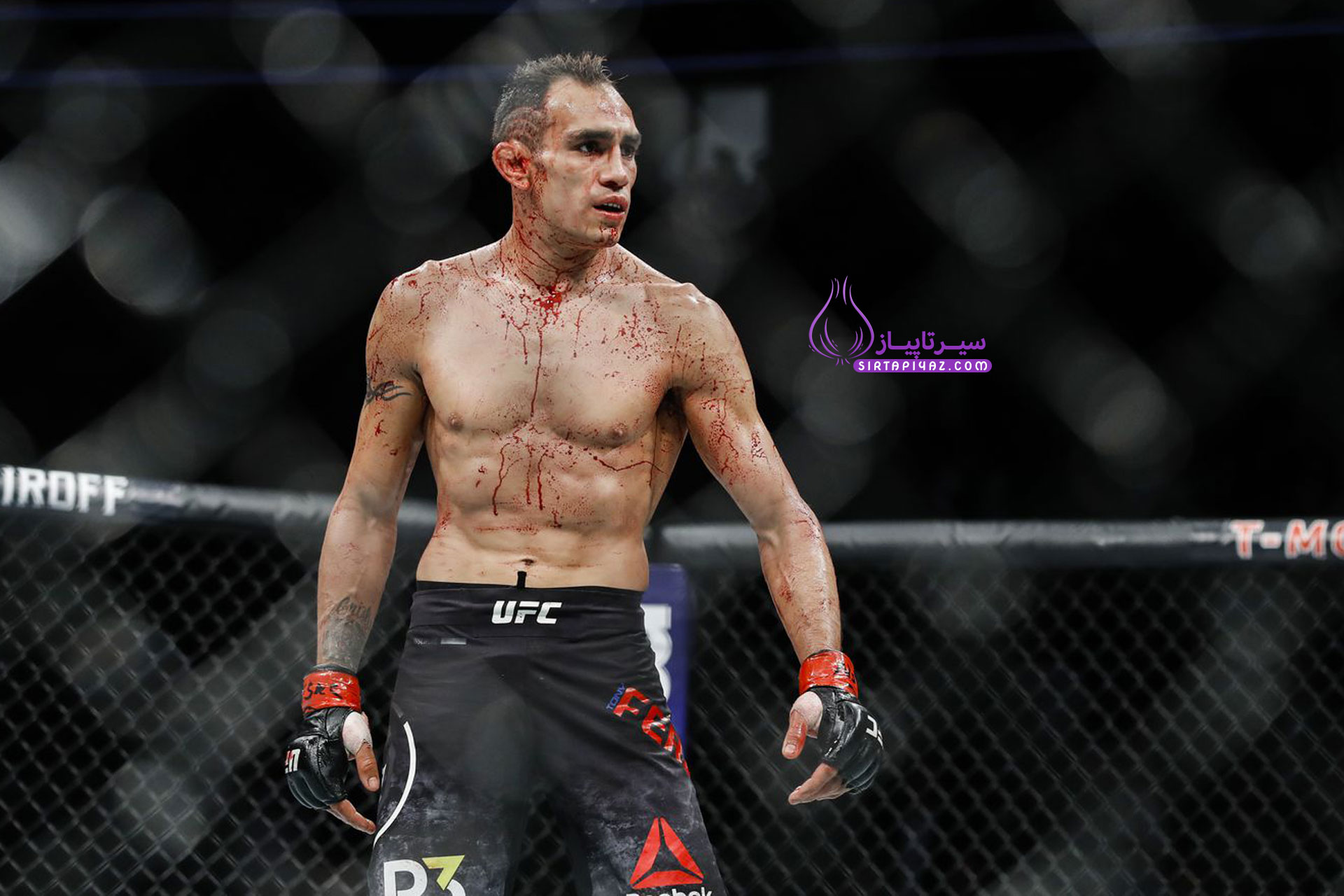 تونی فرگوسن سبکوزن UFC تونی فرگوسن سبکوزن UFC