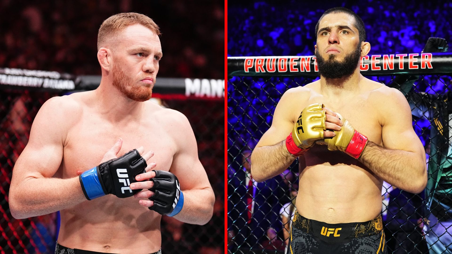 دلا مادلنا قهرمان ولترویت فعلی دلا مادلنا قهرمان ولترویت فعلی