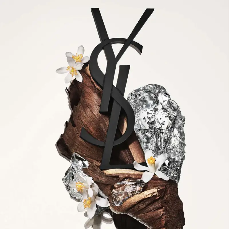 Saint Laurent | اشرافی اما مدرن