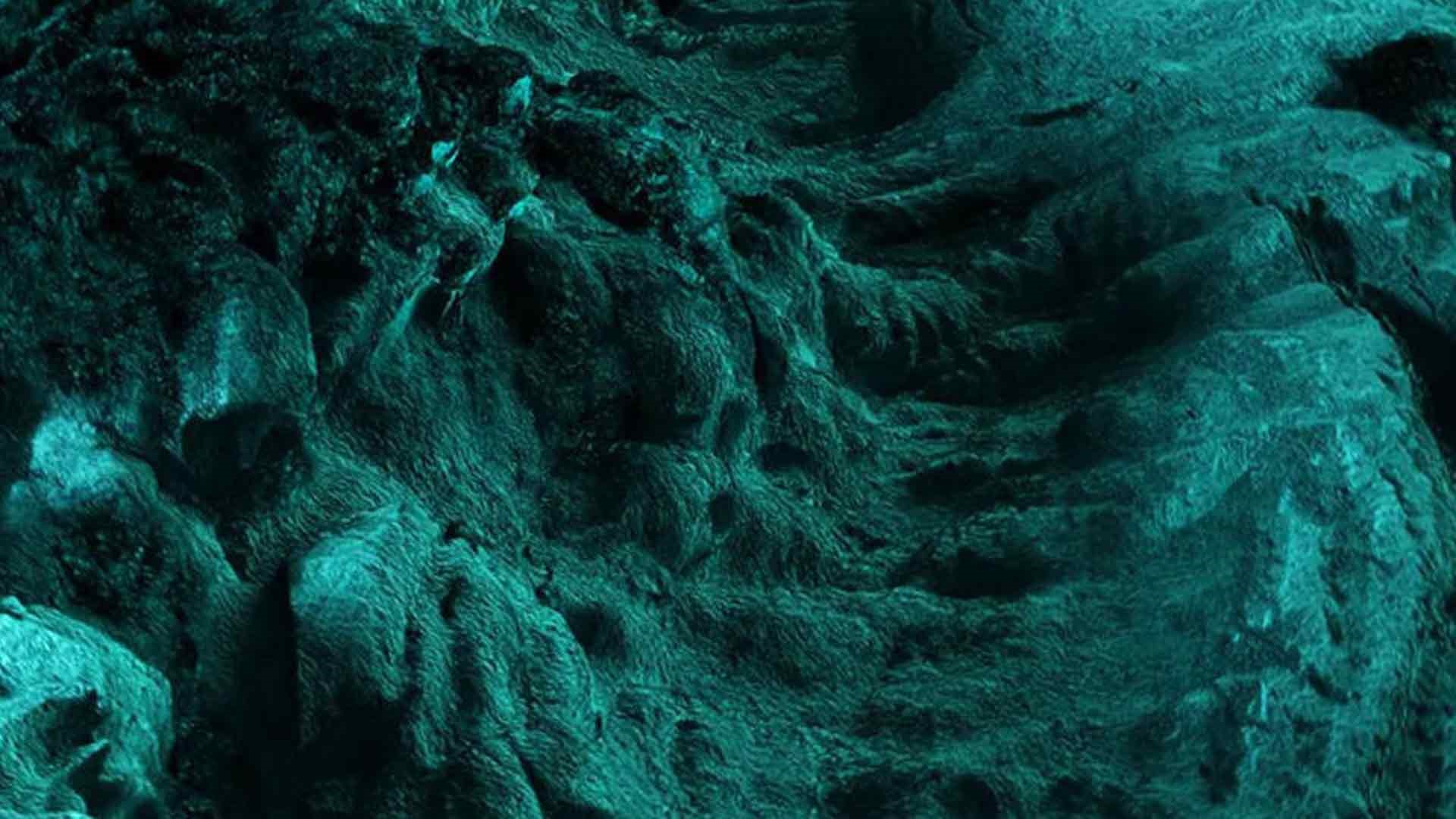رنگ ترند سال ۲۰۲۶
