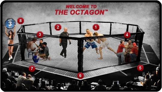 قوانین اصلی مبارزات UFC