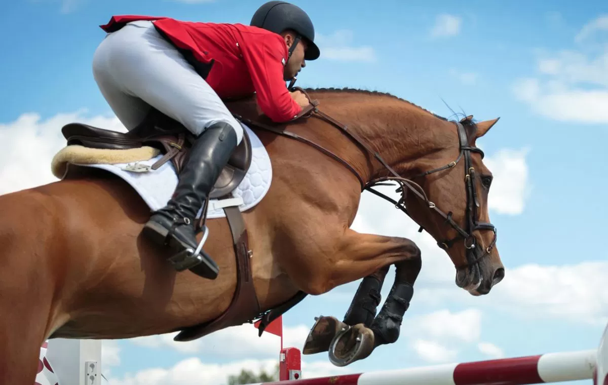 شروع فروش بلیت مسابقات اسب‌سواری میدان