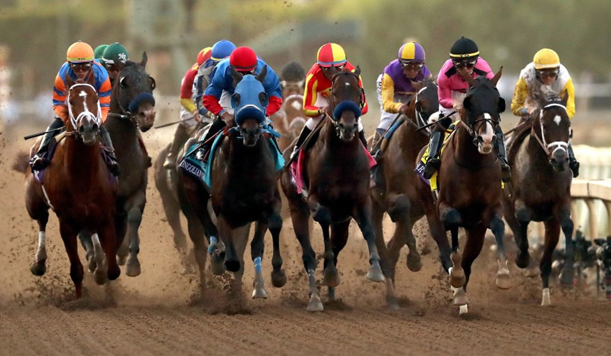 قیمت‌های ویژه بلیت‌های اسب‌دوانی دبی