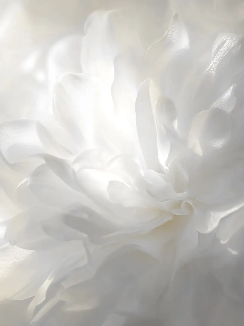 رنگ لباس سال 2026