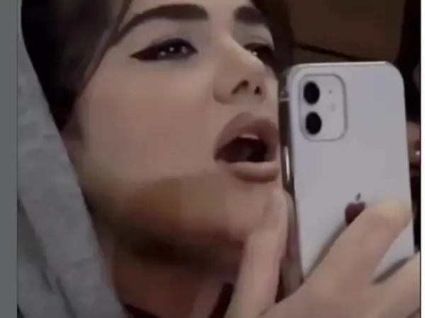 بیوگرافی نیوشا مفیدی