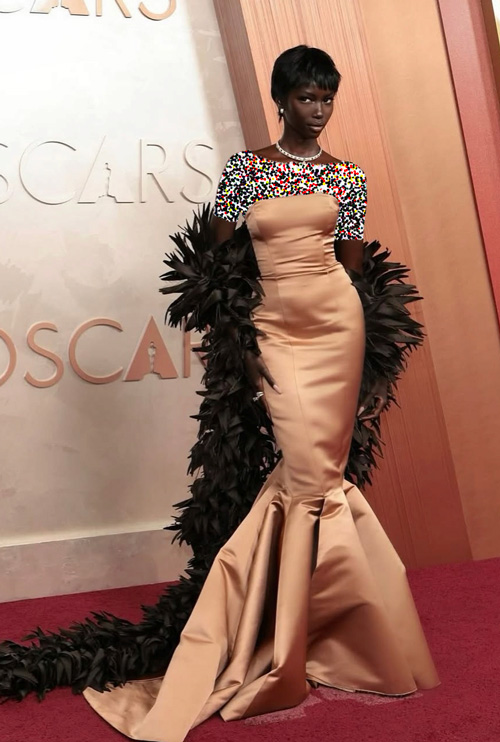 قهرمانی مدل سودانی آمریکایی